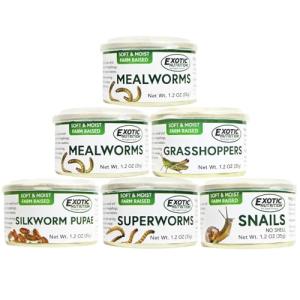 High-Protein Canned Insect Treats 6-Pack