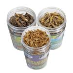 Dried Insect Treats: Crickets, Grasshoppers, Mealworms