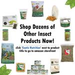 High-Protein Canned Insect Treats 6-Pack