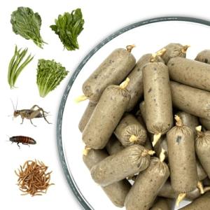 Omnivore Blend with Insects – Fresh Reptile Food
