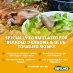 Omnivore Blend with Insects – Fresh Reptile Food