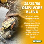Omnivore Blend with Insects – Fresh Reptile Food