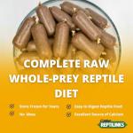 Omnivore Blend with Insects – Fresh Reptile Food