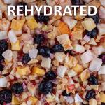Healthy Fruit Mix Instant Meal for Reptiles