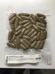 Omnivore Blend with Insects – Fresh Reptile Food