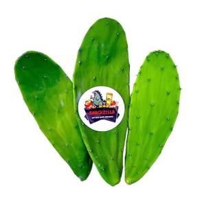 Fresh Prickly Pear Cactus for Tortoises and Iguanas