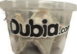 18 Count Small Hornworms for Reptile Nutrition