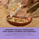 Zilla Omnivore Reptile Food Medley, 4 oz