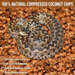 Coconut Chip Substrate for Reptiles - 10LB