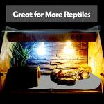 Large Reptile Carpet Bedding Mat for Terrariums