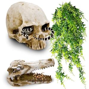 Skull Decor for Reptile Terrariums and Enclosures