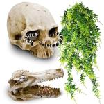 Skull Decor for Reptile Terrariums and Enclosures