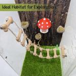 Magnetic Rope Bridge for Jumping Spiders