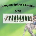 Wood Climbing Bridge for Jumping Spiders