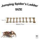 Magnetic Rope Bridge for Jumping Spiders