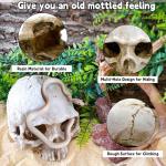 Skull Decor for Reptile Terrariums and Enclosures