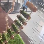 Wood Climbing Bridge for Jumping Spiders