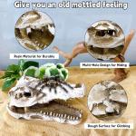 Skull Decor for Reptile Terrariums and Enclosures