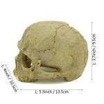 Aquarium Skull Ornament for Reptiles and Snakes