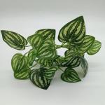 Artificial Reptile Plants for Tanks and Habitats