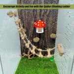Magnetic Rope Bridge for Jumping Spiders