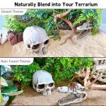 Skull Decor for Reptile Terrariums and Enclosures