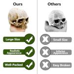 Skull Decor for Reptile Terrariums and Enclosures