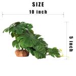 Fake Monstera Plants for Reptile Tanks and Terrariums