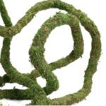 Bendable Moss Vine for Reptile Enclosures, 9.8 FT