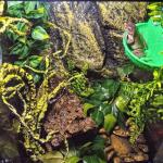 Mechpia Fake Plants for Reptile Tank Decor