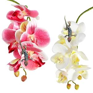 Artificial Phalaenopsis Plants for Reptile Habitats