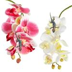 Artificial Phalaenopsis Plants for Reptile Habitats