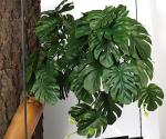 2 Pack Fake Monstera Plants for Reptile Tanks