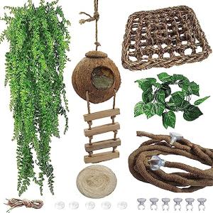 Crested Gecko Coconut Hut & Climbing Accessories