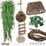 Crested Gecko Coconut Hut & Climbing Accessories