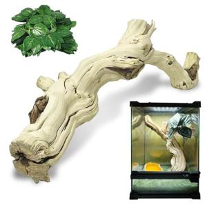 Large Natural Climbing Branch for Reptiles