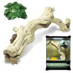 Large Natural Climbing Branch for Reptiles