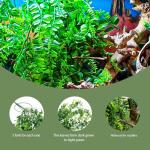 Reptile Hanging Plants with Suction Cups