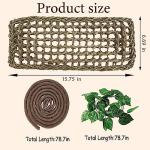 5-Piece Bearded Dragon Tank Accessories Set
