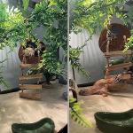 Crested Gecko Coconut Hut & Climbing Accessories