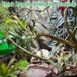 Flexible Large Reptile Vines for Tank Decor