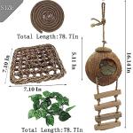 Crested Gecko Coconut Hut & Climbing Accessories