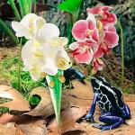 Artificial Phalaenopsis Plants for Reptile Habitats
