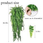 Crested Gecko Coconut Hut & Climbing Accessories