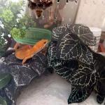 KERUIDENG Artificial Reptile Plants for Terrariums