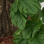 2 Pack Fake Monstera Plants for Reptile Tanks