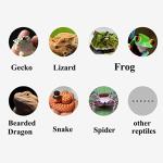 Reptile Hanging Plants with Suction Cups