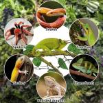Flexible Large Reptile Vines for Tank Decor