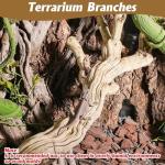 Large Natural Climbing Branch for Reptiles