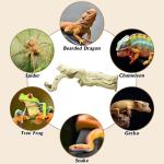 Large Natural Climbing Branch for Reptiles